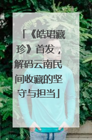 《皓珺藏珍》首发，解码云南民间收藏的坚守与担当