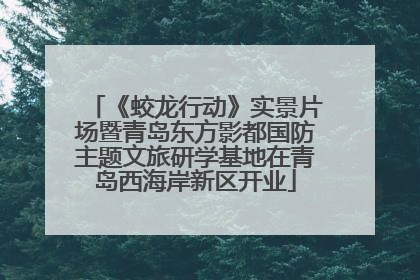 《蛟龙行动》实景片场暨青岛东方影都国防主题文旅研学基地在青岛西海岸新区开业