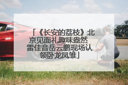 《长安的荔枝》北京见面礼趣味盎然 雷佳音岳云鹏现场认领卧龙凤雏