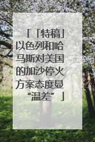 「特稿」以色列和哈马斯对美国的加沙停火方案态度显“温差”
