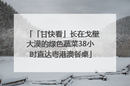 「甘快看」长在戈壁大漠的绿色蔬菜38小时直达粤港澳餐桌