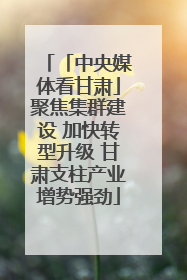 「中央媒体看甘肃」聚焦集群建设 加快转型升级 甘肃支柱产业增势强劲