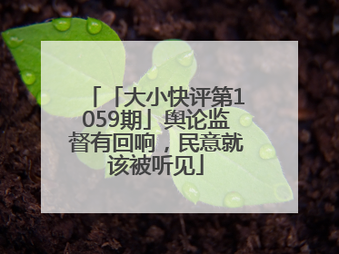 「大小快评第1059期」舆论监督有回响，民意就该被听见