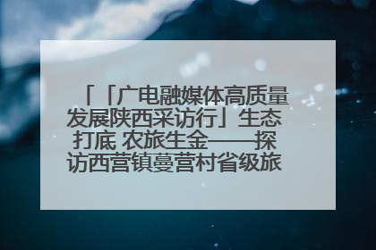 「广电融媒体高质量发展陕西采访行」生态打底 农旅生金——探访西营镇蔓营村省级旅游示范村的振兴密码