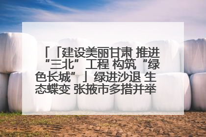 「建设美丽甘肃 推进“三北”工程 构筑“绿色长城”」绿进沙退 生态蝶变 张掖市多措并举加大防沙治沙力度