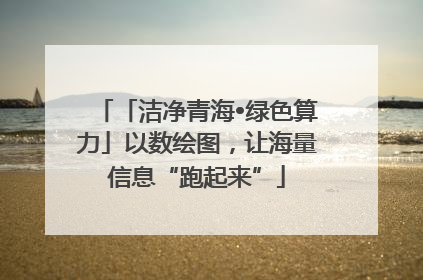 「洁净青海•绿色算力」以数绘图，让海量信息“跑起来”