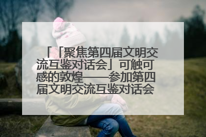 「聚焦第四届文明交流互鉴对话会」可触可感的敦煌——参加第四届文明交流互鉴对话会的外宾参观上元市集