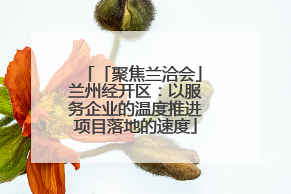 「聚焦兰洽会」兰州经开区：以服务企业的温度推进项目落地的速度