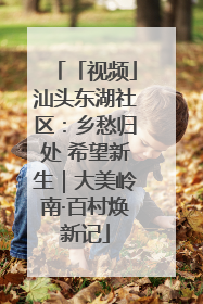 「视频」汕头东湖社区：乡愁归处 希望新生｜大美岭南·百村焕新记