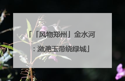 「风物郑州」金水河：潋滟玉带绕绿城