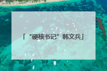 “硬核书记”韩文兵