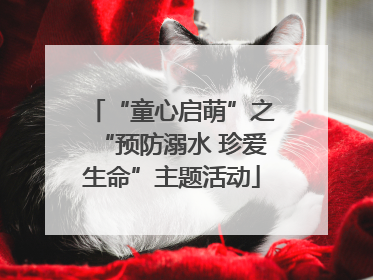 “童心启萌”之“预防溺水 珍爱生命”主题活动