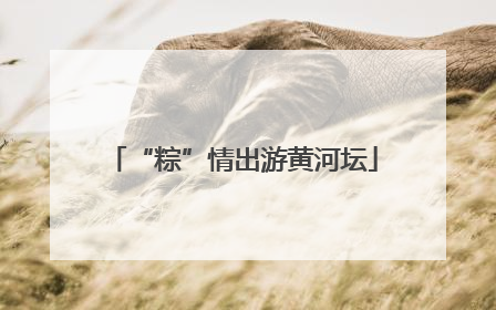“粽”情出游黄河坛