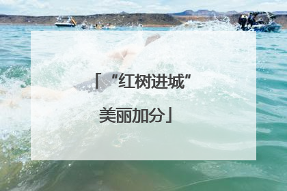 “红树进城” 美丽加分