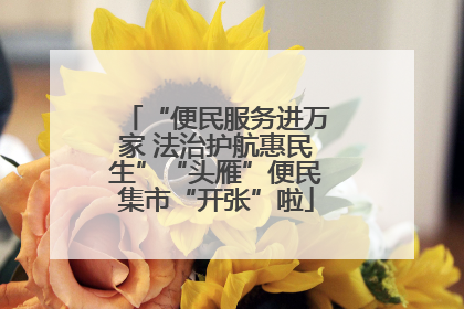 “便民服务进万家 法治护航惠民生”“头雁”便民集市“开张”啦