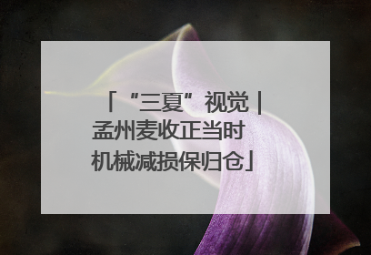 “三夏”视觉｜孟州麦收正当时 机械减损保归仓