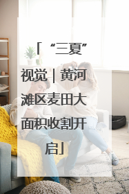“三夏”视觉｜黄河滩区麦田大面积收割开启
