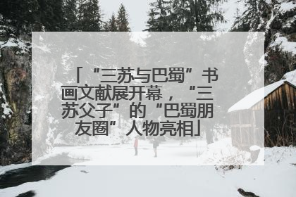 “三苏与巴蜀”书画文献展开幕，“三苏父子”的“巴蜀朋友圈”人物亮相