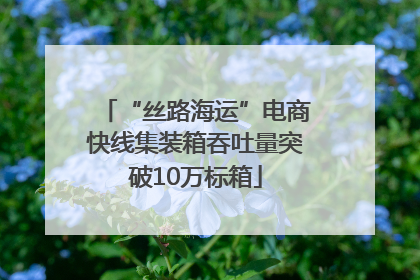 “丝路海运”电商快线集装箱吞吐量突破10万标箱