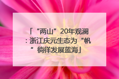 “两山”20年观澜：浙江庆元生态为“帆”徜徉发展蓝海