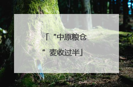 “中原粮仓”麦收过半