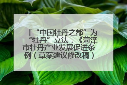 “中国牡丹之都”为“牡丹”立法，《菏泽市牡丹产业发展促进条例（草案建议修改稿）》公开征求意见
