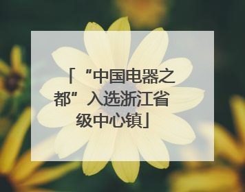 “中国电器之都”入选浙江省级中心镇