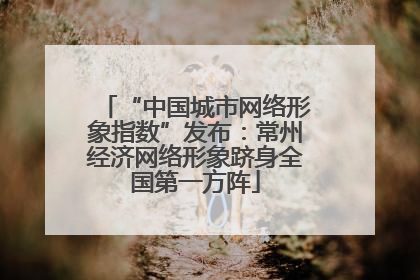 “中国城市网络形象指数”发布：常州经济网络形象跻身全国第一方阵