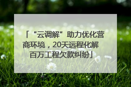 “云调解”助力优化营商环境，20天远程化解百万工程欠款纠纷