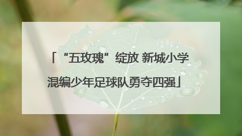 “五玫瑰”绽放 新城小学混编少年足球队勇夺四强