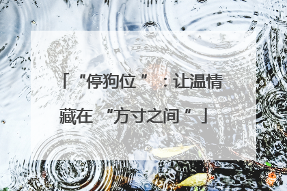“停狗位 ”：让温情藏在 “方寸之间 ”
