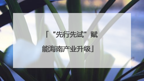 “先行先试”赋能海南产业升级