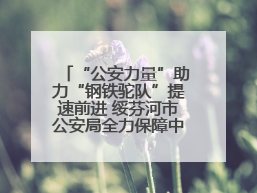 “公安力量”助力“钢铁驼队”提速前进 绥芬河市公安局全力保障中欧班列“东通道”绥芬河隧道贯通