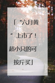 “六月黄”上市了！超小只的可按斤买