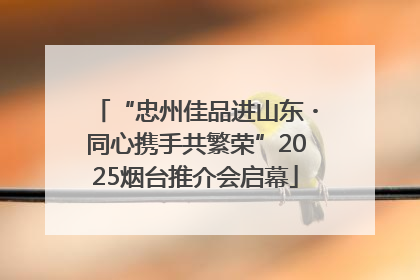 “忠州佳品进山东・同心携手共繁荣”2025烟台推介会启幕
