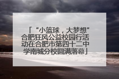 “小篮球，大梦想”合肥狂风公益校园行活动在合肥市第四十二中学南城分校圆满落幕