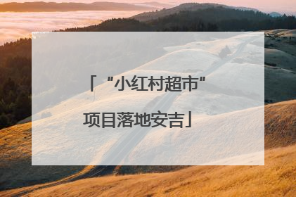 “小红村超市”项目落地安吉