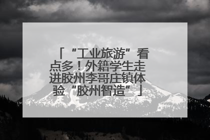 “工业旅游”看点多！外籍学生走进胶州李哥庄镇体验“胶州智造”