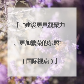 “建设更具凝聚力、更加繁荣的东盟”（国际视点）