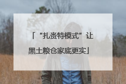 “扎赉特模式”让黑土粮仓家底更实