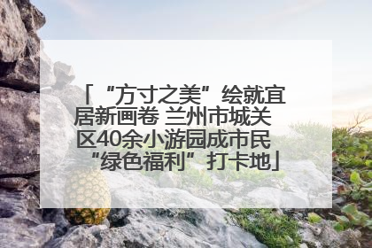“方寸之美”绘就宜居新画卷 兰州市城关区40余小游园成市民“绿色福利”打卡地