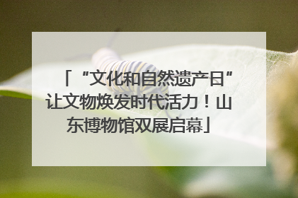 “文化和自然遗产日”让文物焕发时代活力！山东博物馆双展启幕