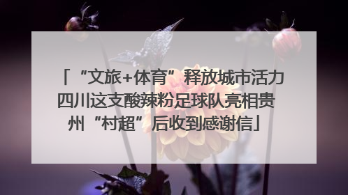“文旅+体育”释放城市活力 四川这支酸辣粉足球队亮相贵州“村超”后收到感谢信