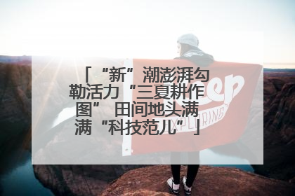 “新”潮澎湃勾勒活力“三夏耕作图” 田间地头满满“科技范儿”