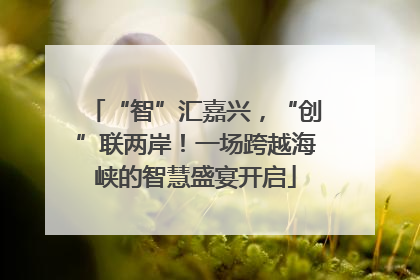 “智”汇嘉兴，“创”联两岸！一场跨越海峡的智慧盛宴开启