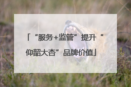 “服务+监管”提升“仰韶大杏”品牌价值