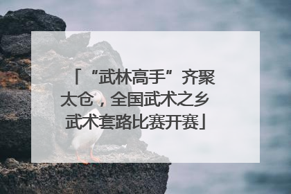 “武林高手”齐聚太仓，全国武术之乡武术套路比赛开赛