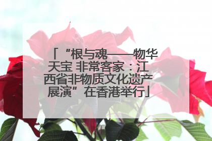“根与魂——物华天宝 非常客家：江西省非物质文化遗产展演”在香港举行