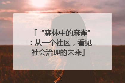 “森林中的麻雀”：从一个社区，看见社会治理的未来