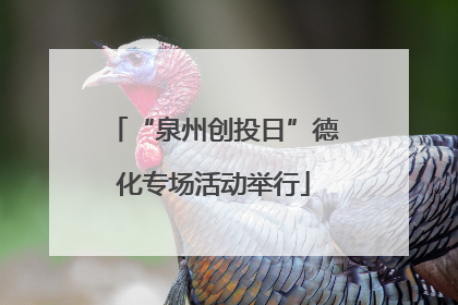 “泉州创投日”德化专场活动举行